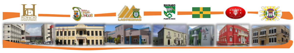 top-junta-alcaldes